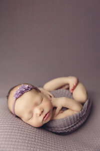 baby in purple swaddle for phoenix newborn session