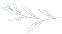 A part of Elizabeth Rose Lifestyle & Integrative Wellness Logo that includes tree branches