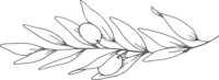 grey herb logo