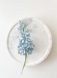 delphinium sugar flower