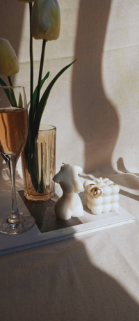 A still life photo featuring two white candles, a glass of wine, and a vase with flowers. The scene is bathed in warm sunlight, casting dramatic shadows on the table and wall.