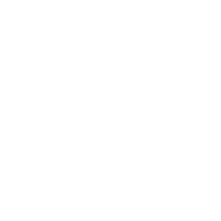 DaniPaige - Logo (no tag) copy-white