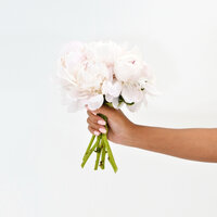 c79-13-purposefully-pink