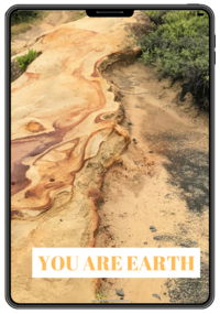 earth feng shui element book by rodika tchi - your personal energy - feng shui home and life makeover with rodika tchi feng shui master consultant vancouver bc canada