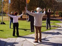 People gathered in a park doing tai chi gung together. The Chi build when more people practice together.