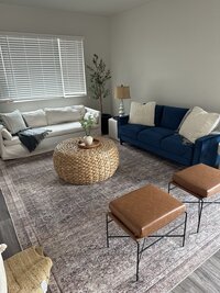 Inviting living room with light-toned sofa, soft rug, and cozy decor designed in Northern Colorado.