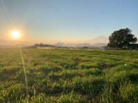 Shasta Valley farmland at sunrise representing agriculture in California