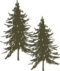 Silhouette of two tall evergreen trees with pointed tops and layered branches, resembling pine or fir trees, against a plain background—a tranquil scene reminiscent of serene family portraits in Brainerd Lakes photography.