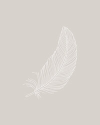 Feather illustration for a photographers brand design