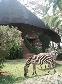 Nairobi-wedding-photographer-portrait-nature-luxury-mariage-diani-kenya-bespoke (13)