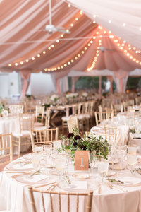Maura Bassman - Wedding Event and Design - Cincinnati Wedding Planner - Photo - 12
