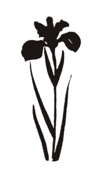 Hope Miriam Designs flower illustration