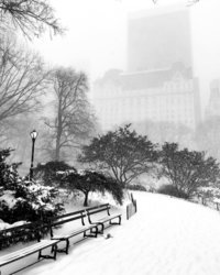 plaza hotel view from central park during bomb cyclone