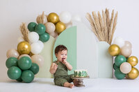 Cincinnati Cake Smash Photographer