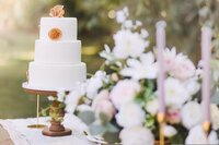 wedding-cake-6018507