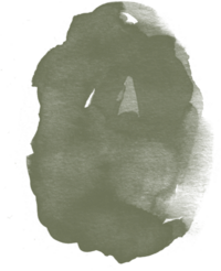watercolor-olive-7