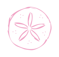 Dark pink, handdrawn sand dollar icon