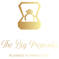The Big Proposals Logo-01