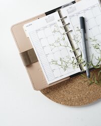 Neutral toned journal open with pen and green plant on it.