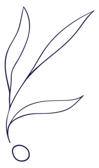 Plant Seed Icon_Royal Blue_Large_PNG