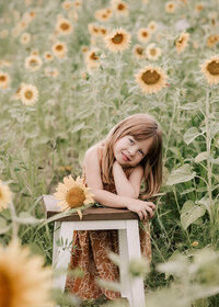 toddler girl portrait posed on a stool in a sunflower field.