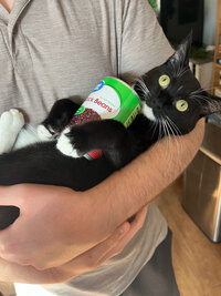 Photo of Katie's cat being held by Katie
