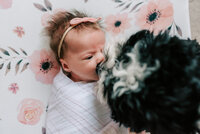 a newborn girl laying on the groun being sniffed by her black and white dog, in their home in Loudoun County