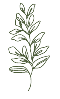 leaf graphic