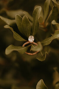 Meghan_Louis_Engagement_Session_7.28.21-119