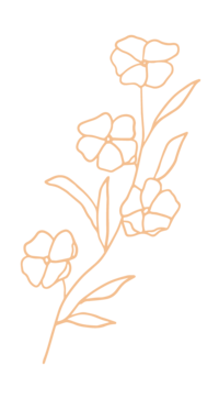 Spell Events web element floral line art