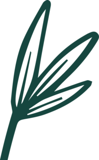 Transparent flower illustration
