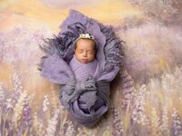 Beautiful mother pregnant during her photoshoot outdoors Stein Art Studio