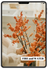 fire water couple feng shui element book by rodika tchi - your personal energy - feng shui home and life makeover with rodika tchi feng shui master consultant vancouver bc canada