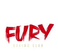 Fast Fury Secondary Logo