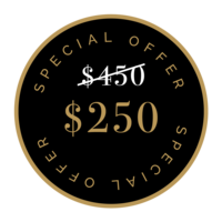 Special Offer - $250 instead of $450