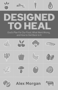 Designed to Heal book cover