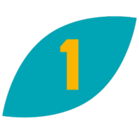 Graphic of a teal leaf with a yellow 3