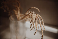 haute-stock-photography-subscription-mocha-collection-final-8