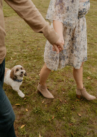 couple holding hands with dog