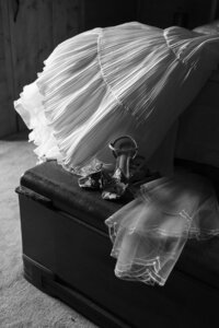 Wedding Shoes and Dress