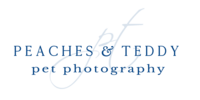 Ponte Vedra Beach FL Pet Photographer