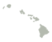 hawaii illustration