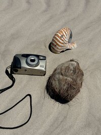 IMG_8908