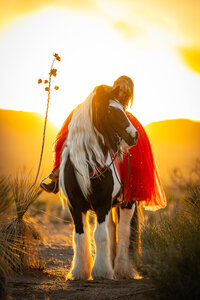 New-Mexico-Horse-Photographer-040