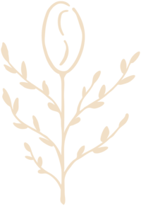 the green bean logo mark of a coffee bean icon
