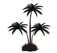 —Pngtree—black palm tree pattern_688905
