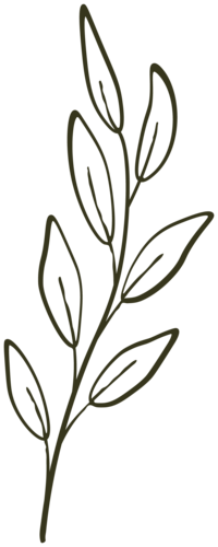 the green bean custom graphic design of a sage herb with organic features