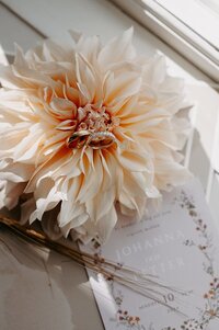 Vigselringar ligger på en dahlia i fönster.