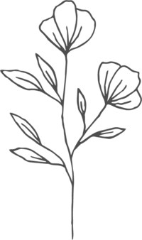 Flower illustration