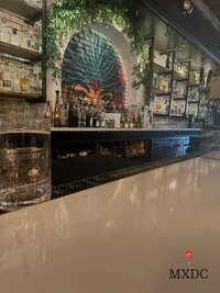 Cozy DC restaurants with aesthetic murals, outdoor seating, and unique interior design. Real photos from local dining experiences.  